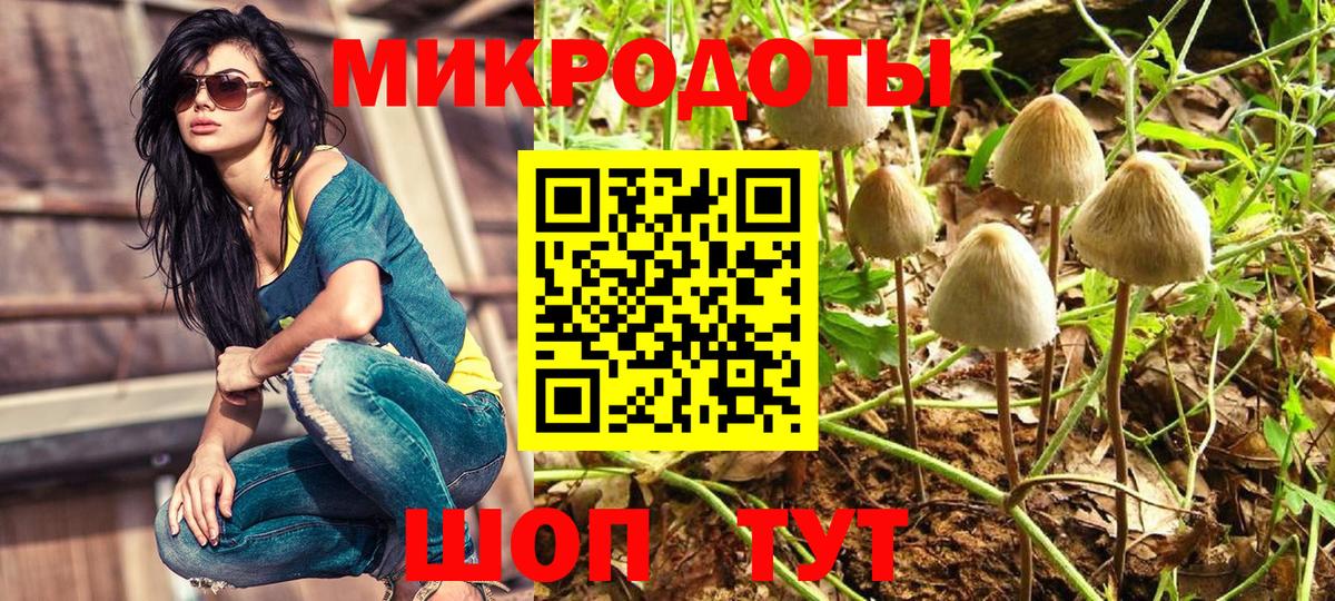 Псилоцибиновые грибы Psilocybine cubensis  Вход с VPN  Амурск 
